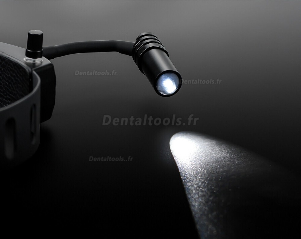 5W Lampe frontale médicale dentaire haute intensité + 2.5X Loupe binoculaire