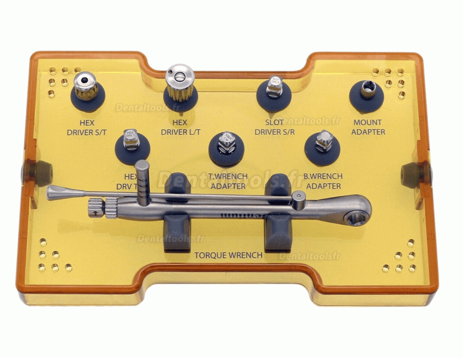 Dentium XIP Kit d'outils de tournevis à main pour restauration de prothèse dentaire avec clés dynamométriques