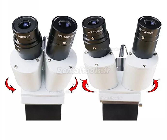 10X/15X/20X Microscope opératoire endodontie dentaire table bureau monté