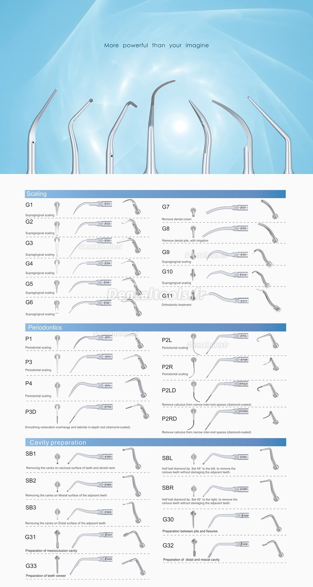 10Pcs Woodpecker Insert de détartrage endodontie E1 E2 E3 E3D E4 E4D E5 E5D E8 E9 E10D E11 E11D E14