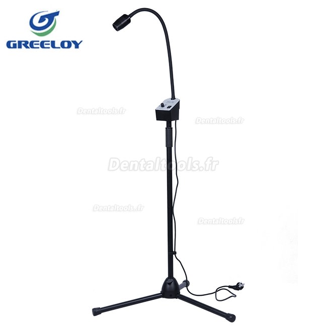 Greeloy GU-P101 Fauteuil Dentaire Portable Pliable + Lampe D'examen Led GU-P102 + Kit Tabourets Dentaires GU-P103