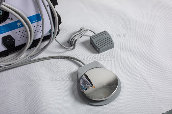 Greeloy® GU-P208 Unité dentaire portable +moteur électrique +lampe à polymériser + détartreur 2/4 trous