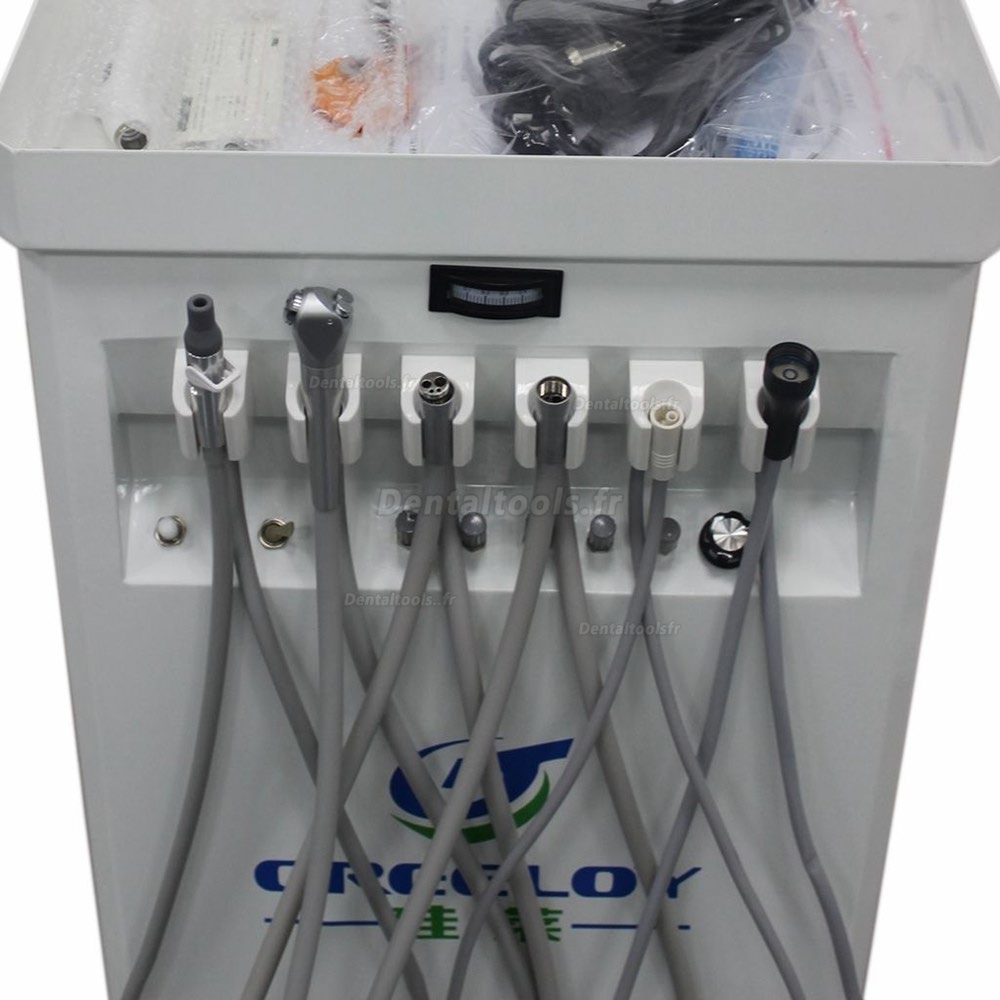 Greeloy® Unité Dentaire Portable Multi-fonctionnel GU-P209 + Lampe à polymériser +Détartreur + Tube à fibre optique 6H