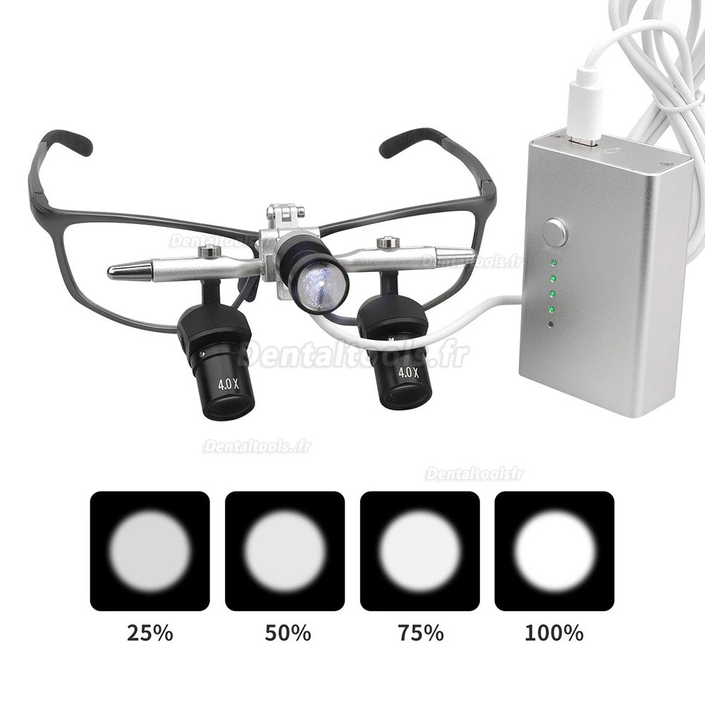 4.0X / 5.0X / 6.0X 350 &agrave; 450mm 48&deg;loupe dentaire ergonomique relevable avec lampe LED 5W