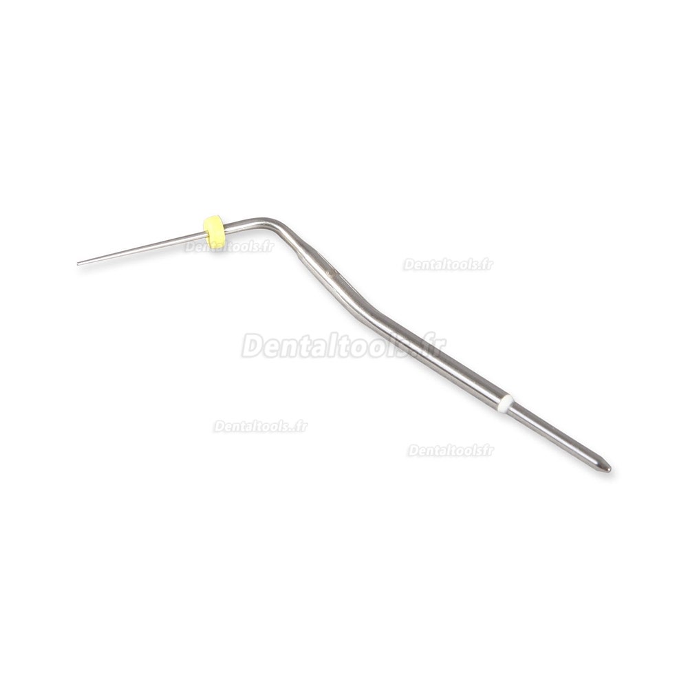 1Pcs Gutta Percha Dentaire Conseils chauffés Aiguilles Plugger pour obturation endodontique