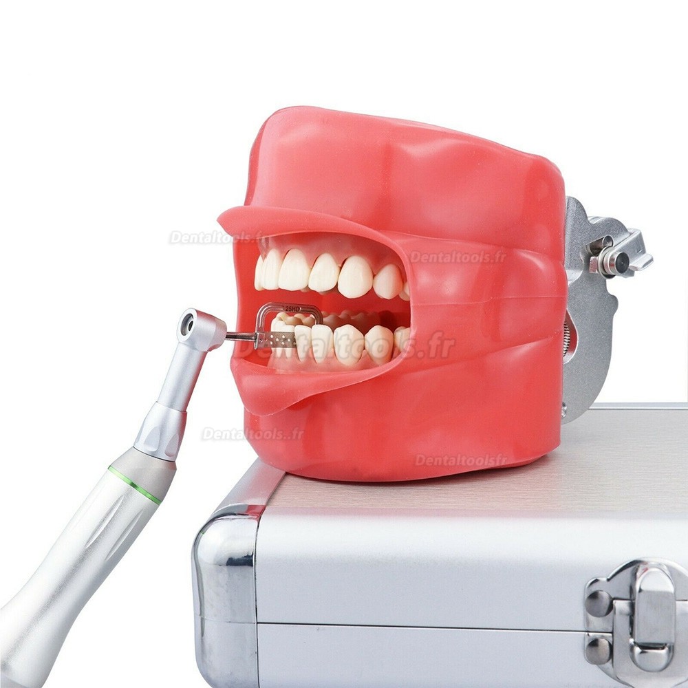 Contre-angle 4:1 orthodontie dentaire système d'IPR de dénudage alternatif