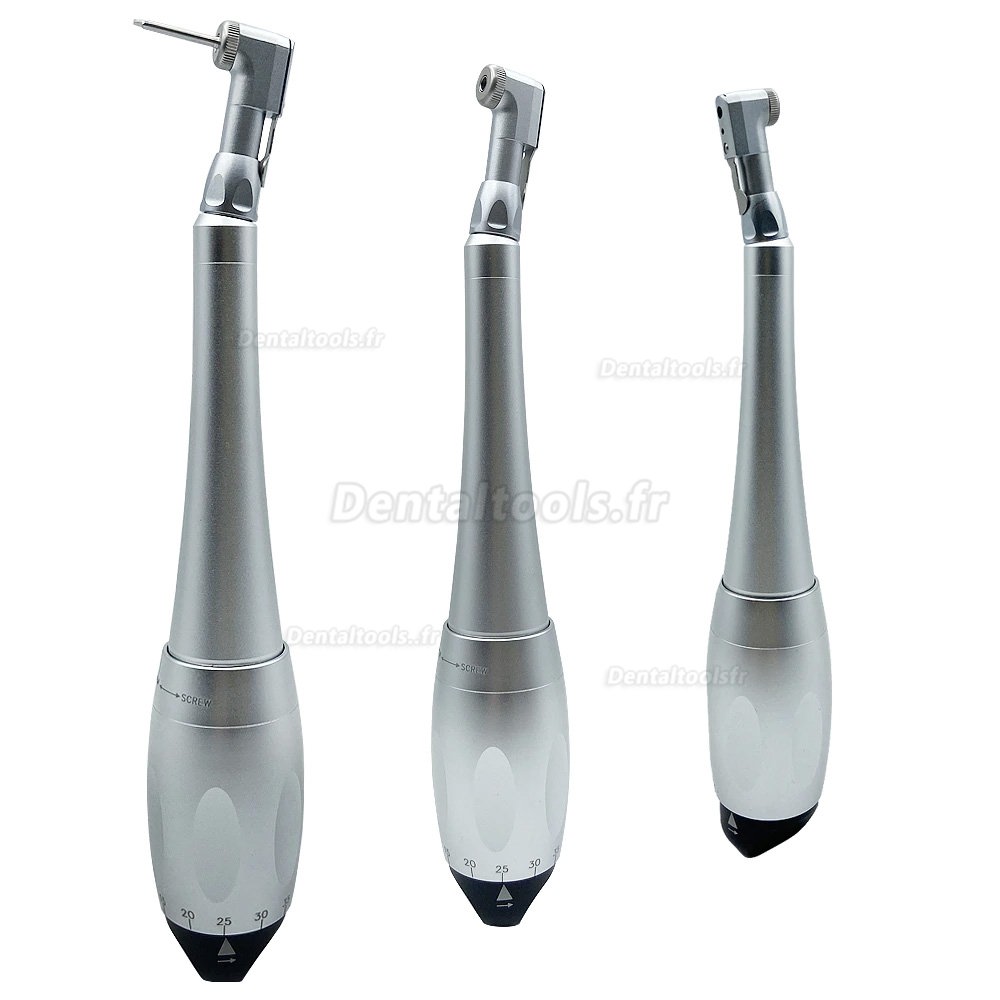 Implant dentaire clé dynamométrique à cliquet Implant tête de verrouillage pièce à main 12 pièces tournevis + 2 pièces têtes en spirale