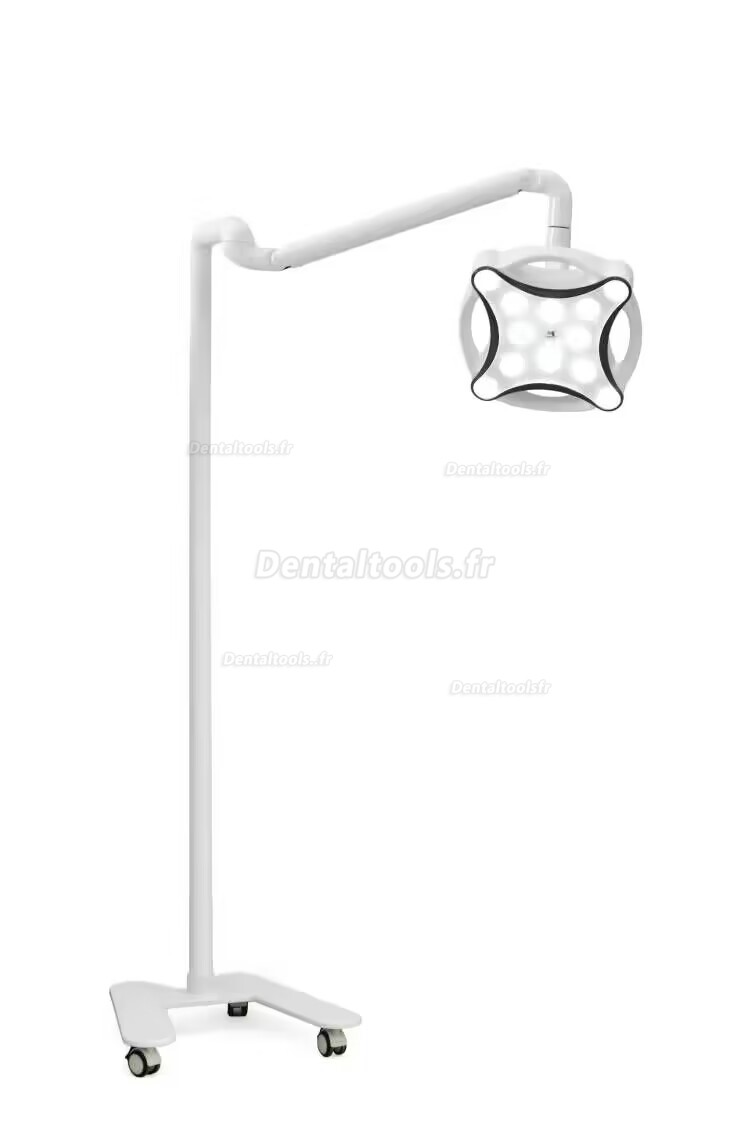 Micare JD1700L Lampe chirurgicale dentaire mobile lampe d'examen sans ombre