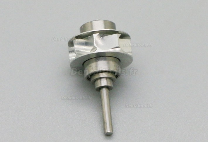 Nouveau Rotor turbine dentaire cartouche dentaire de YUSENDENT adapté à Kavo GENTLEsilence 8000 YUSENDENT COXO K04 Rotor Turbine Dentaire pour Kavo GENTLEsilence 8000