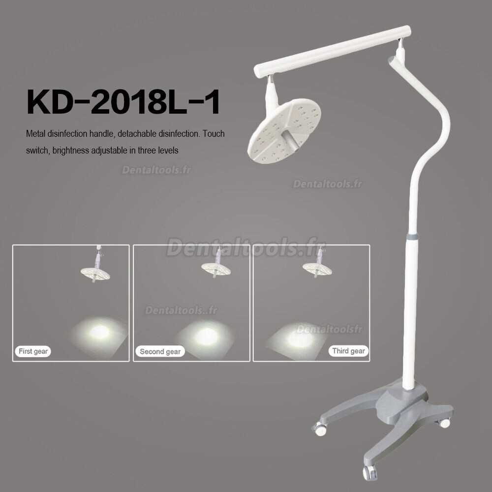 KWS KD-2018L-1 Lumière LED chirurgicale dentaire mobile lumière d'examen sans ombre interrupteur tactile debout au sol