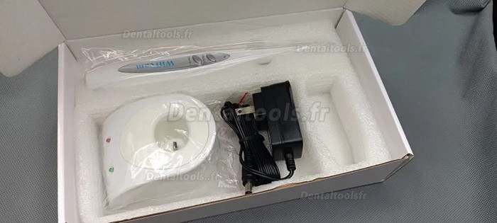 Caméra intra-orale dentaire WiFi sans fil MD-100 pour téléphone portable et iPad