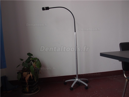 Micare® JD1100L Lampe de diagnostic Micare® JD1100L Lampe d'examen dentaire