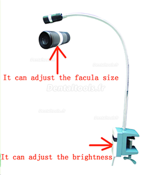 Micare® JD1200J Lampe de diagnostic Micare® JD1200J Lampe d'examen dentaire