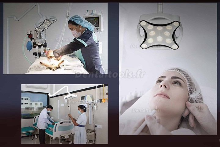 Micare JD1700L Lampe chirurgicale dentaire mobile lampe d'examen sans ombre