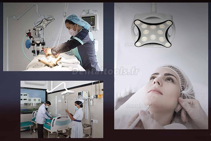 Micare JD1700L Lampe chirurgicale dentaire mobile lampe d'examen sans ombre Micare JD1700L Lampe chirurgicale dentaire mobile lampe d'examen sans ombre