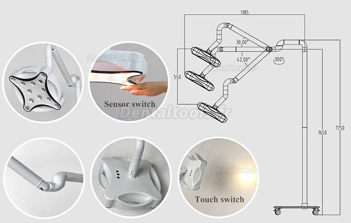 Micare JD1700L Lampe chirurgicale dentaire mobile lampe d'examen sans ombre Micare JD1700L Lampe chirurgicale dentaire mobile lampe d'examen sans ombre