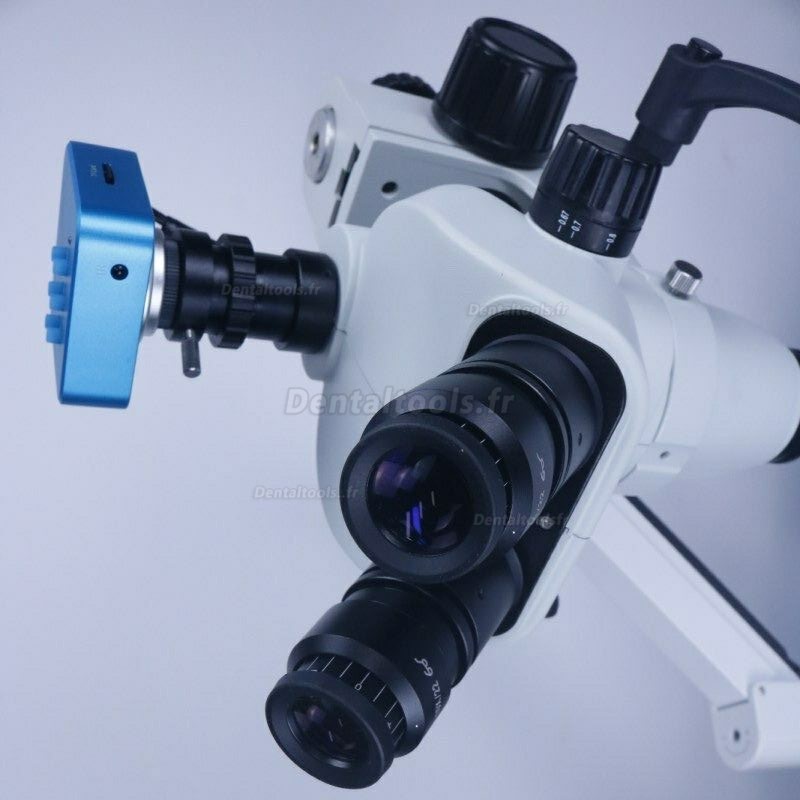 Sonew Étrier de Scène Mobile Mécanique X-Y Professionnel avec Échelle pour  Microscope, Étage Mobile de Microscope, Accessoires de Microscope 
