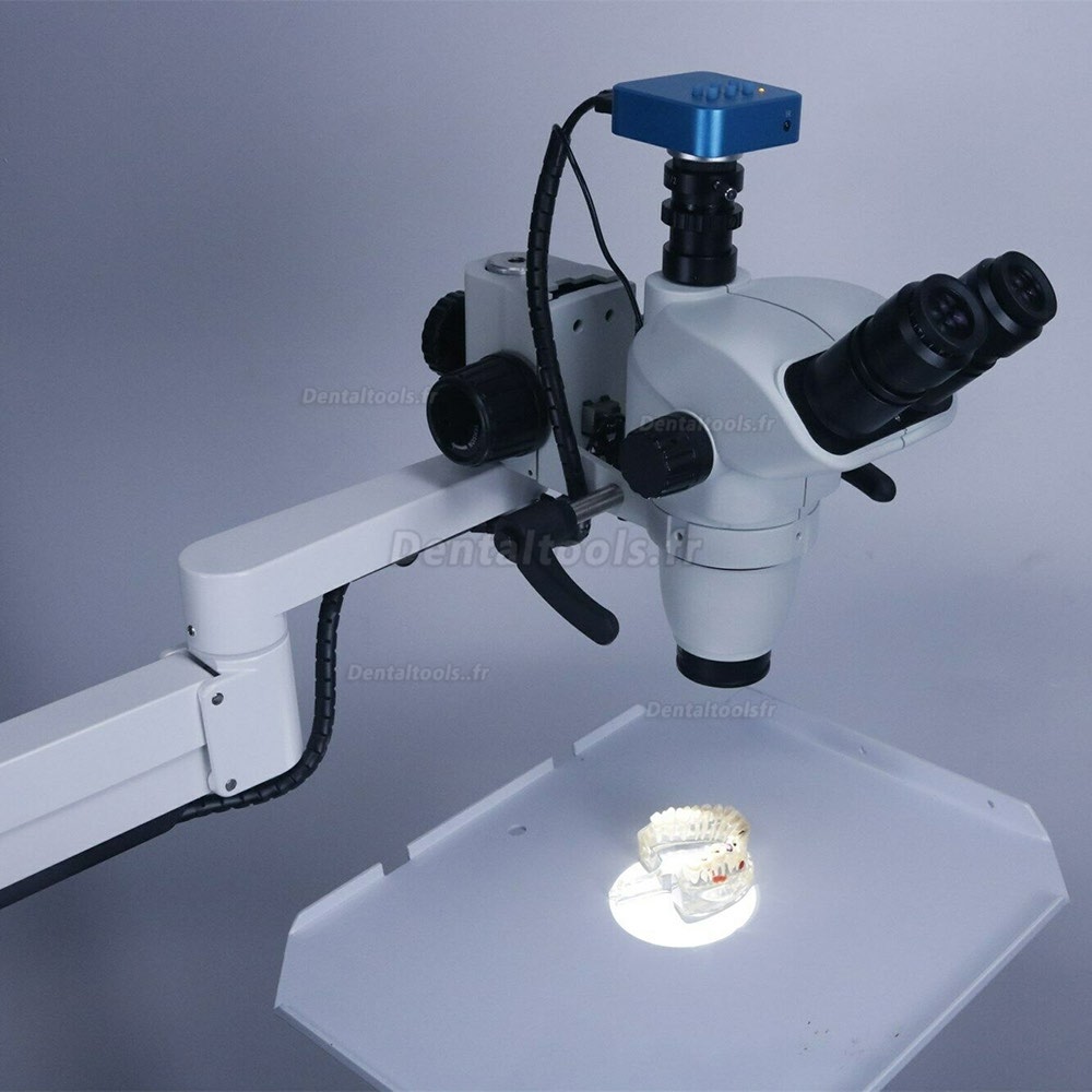 Microscope opératoire dentaire endodontie avec caméra pour fauteuil dentaire