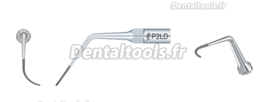 WOODPECKER® Kit Insert de parodontie EMS compatible P2L P2R P2LD P2RD