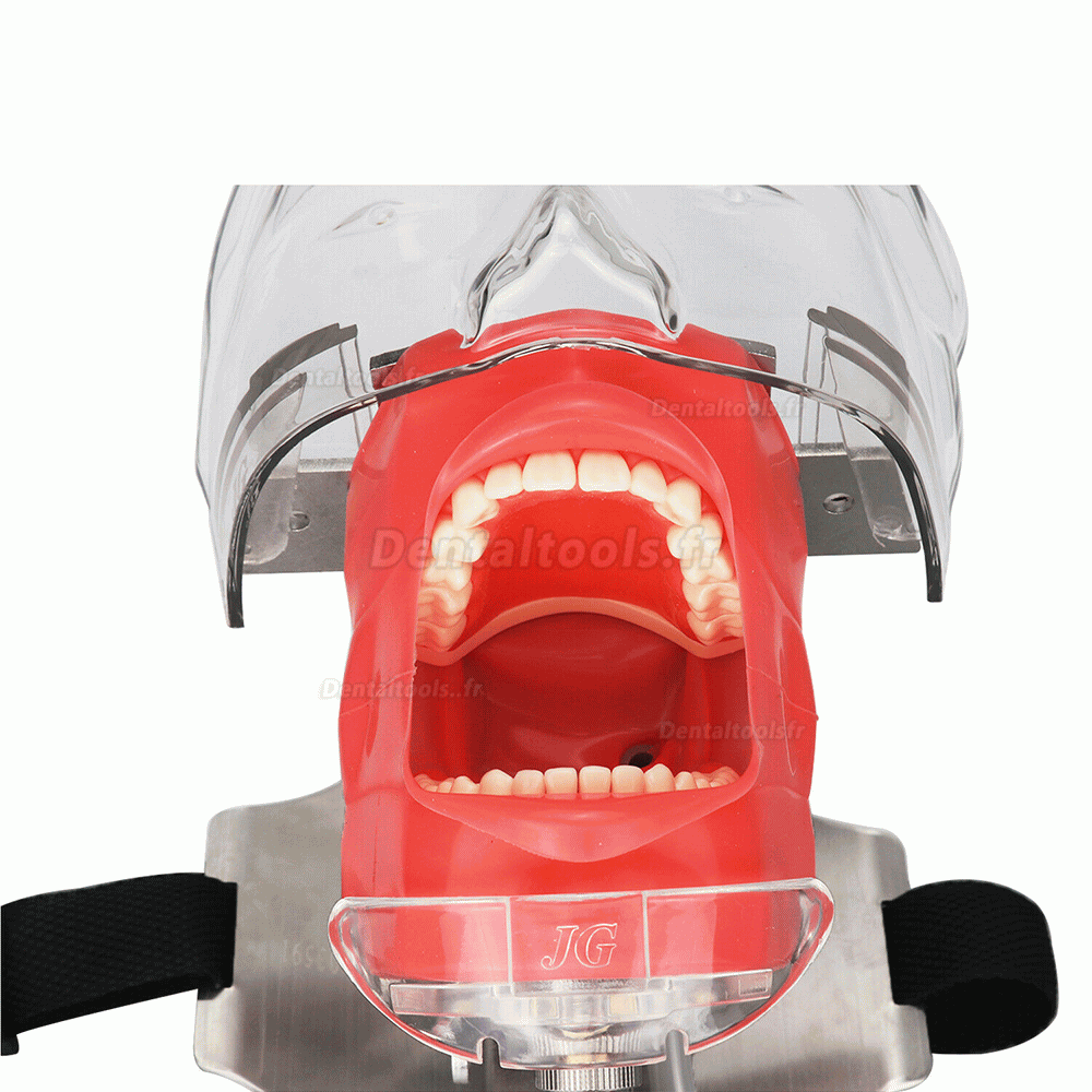 Tête fantôme mannequin dentaire pour fauteuil dentaire appui-tête compatible avec Nissin Kilgore