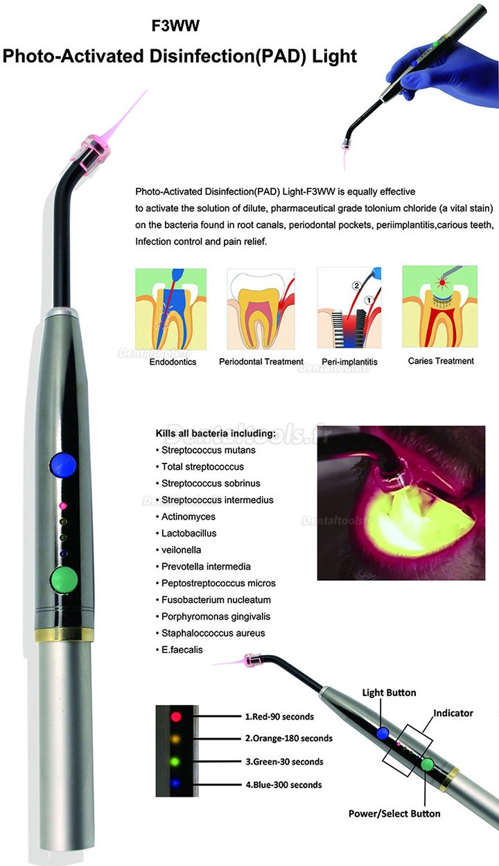 Laser de désinfection photo-activé dentaire 650nm PAD Traitement dentaire au laser de guérison bucco-dentaire léger