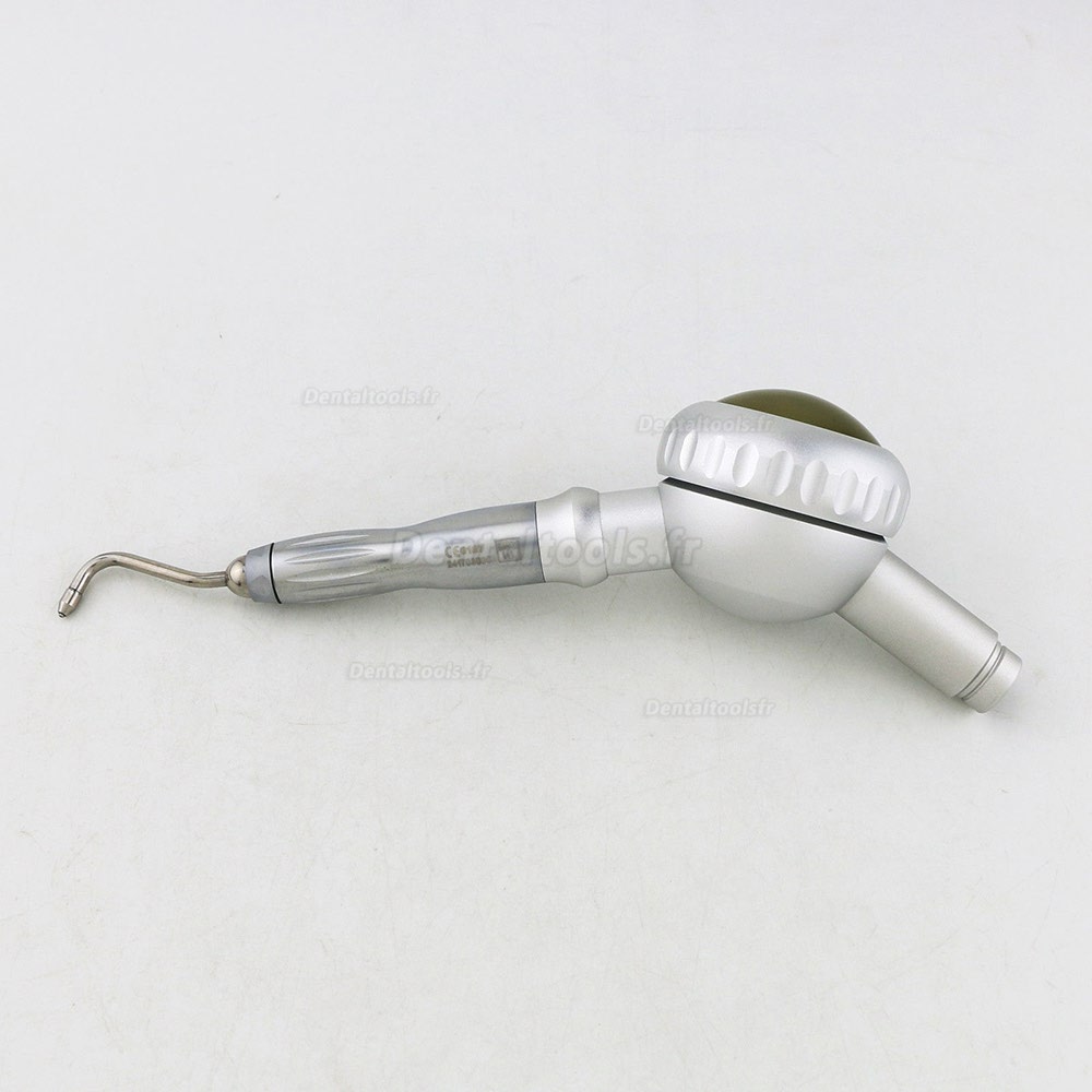 Polisseur de pièce à main Prophy Mate d'hygiène dentaire + Raccord Rapide Compatible W&H