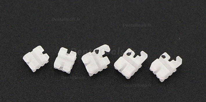 5 Packs Dentaires Roth 022 345 Hooks céramique bracket orthodontique esthétique (transparent / monocristallin) 5 Packs Dentaires Roth 022 345 Hooks céramique bracket orthodontique esthétique (transparent / monocristallin)