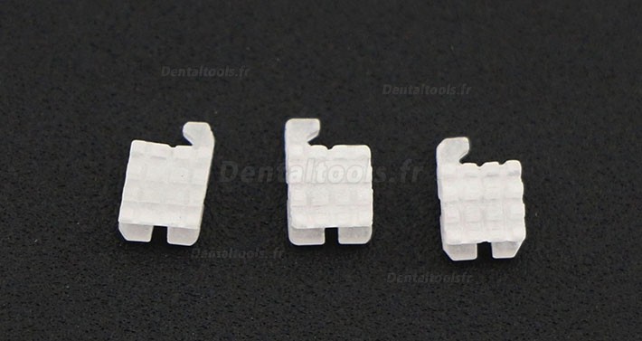 5 Packs Dentaires Roth 022 345 Hooks céramique bracket orthodontique esthétique (transparent / monocristallin)