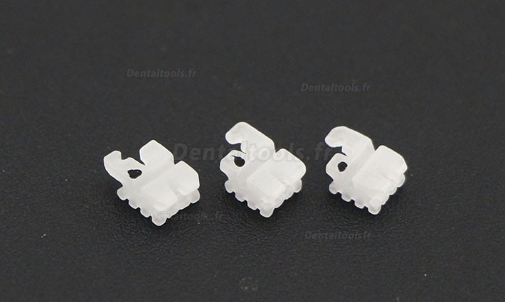 5 Packs Dentaires Roth 022 345 Hooks céramique bracket orthodontique esthétique (transparent / monocristallin) 5 Packs Dentaires Roth 022 345 Hooks céramique bracket orthodontique esthétique (transparent / monocristallin)