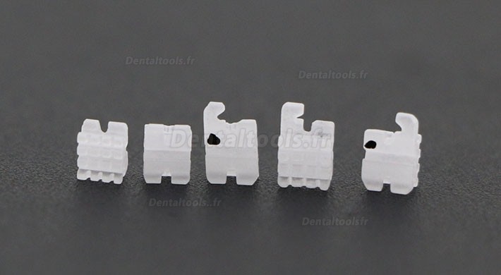 5 Packs Dentaires Roth 022 345 Hooks céramique bracket orthodontique esthétique (transparent / monocristallin) 5 Packs Dentaires Roth 022 345 Hooks céramique bracket orthodontique esthétique (transparent / monocristallin)