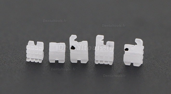 5 Packs Dentaires Roth 022 345 Hooks céramique bracket orthodontique esthétique (transparent / monocristallin)