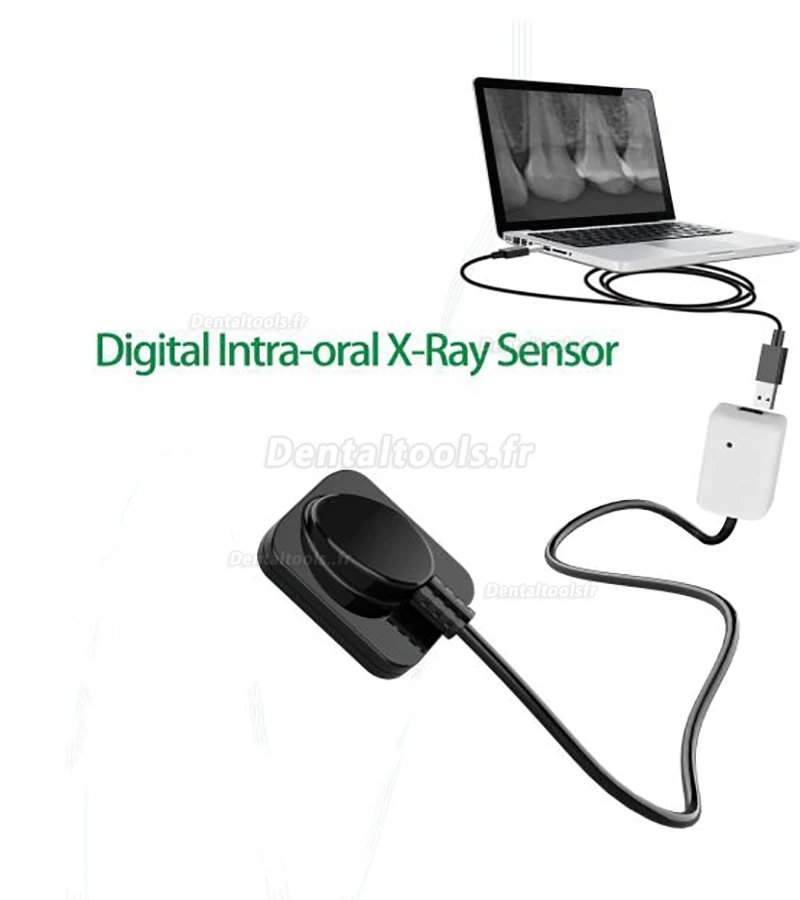 Capteur Radio Dentaire RVG Capteur Intraoral Radiologique Dentaire Numérique