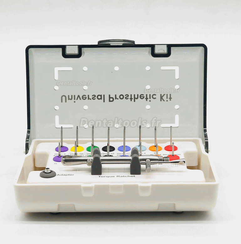 Tournevis d'implant dentaire Kit d'outils de restauration universel + clé dynamométrique de réparation + Mini tournevis 18 pièces
