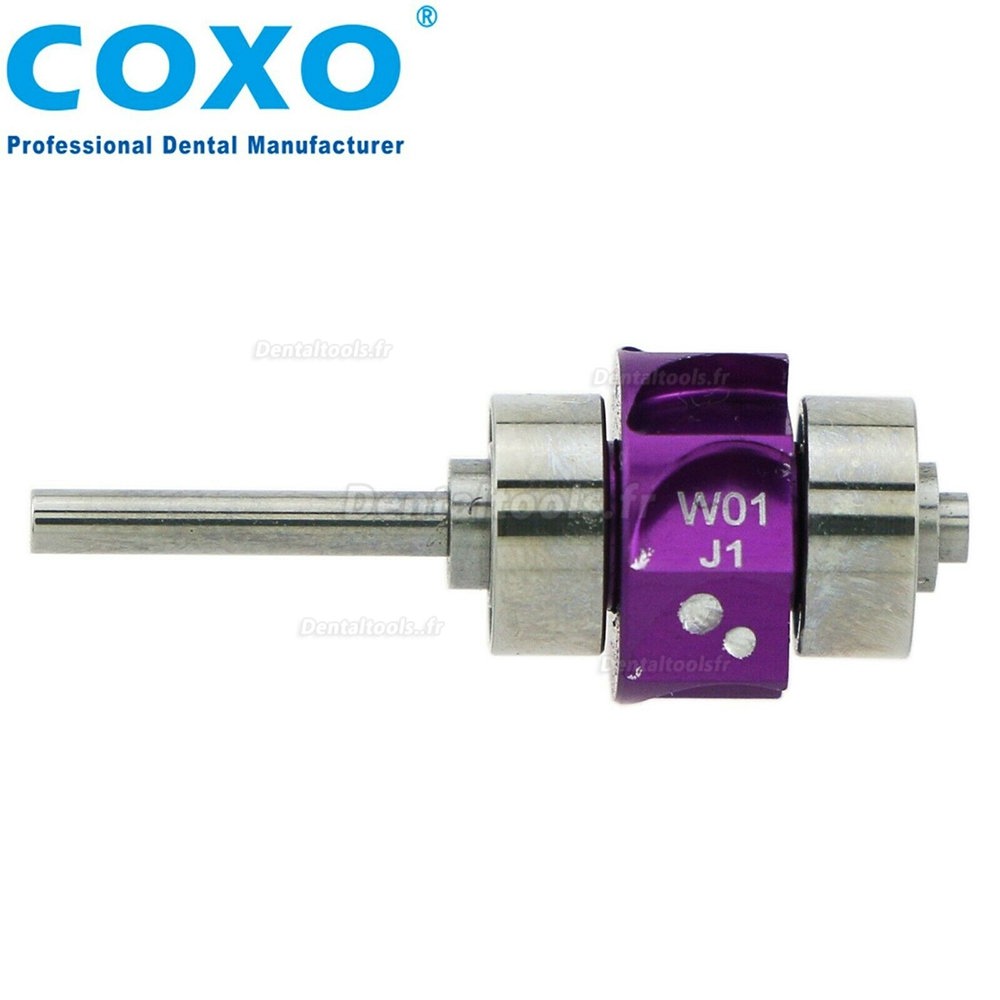  COXO Cartouche de rotor de remplacement dentaire pour pièce à main de turbine W&H