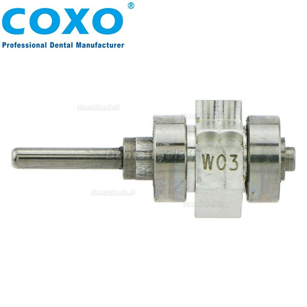  COXO Cartouche de rotor de remplacement dentaire pour pièce à main de turbine W&H