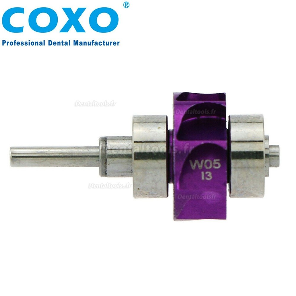  COXO Cartouche de rotor de remplacement dentaire pour pièce à main de turbine W&H