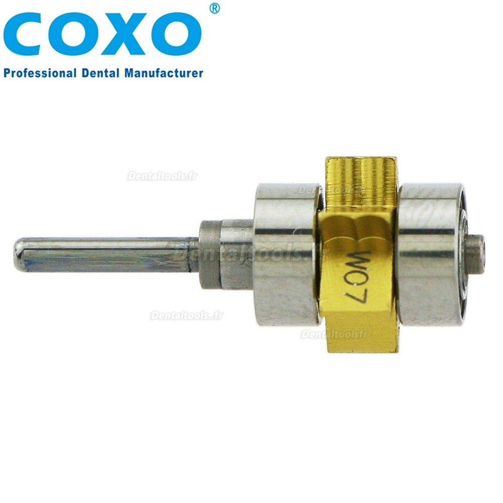  COXO Cartouche de rotor de remplacement dentaire pour pièce à main de turbine W&H