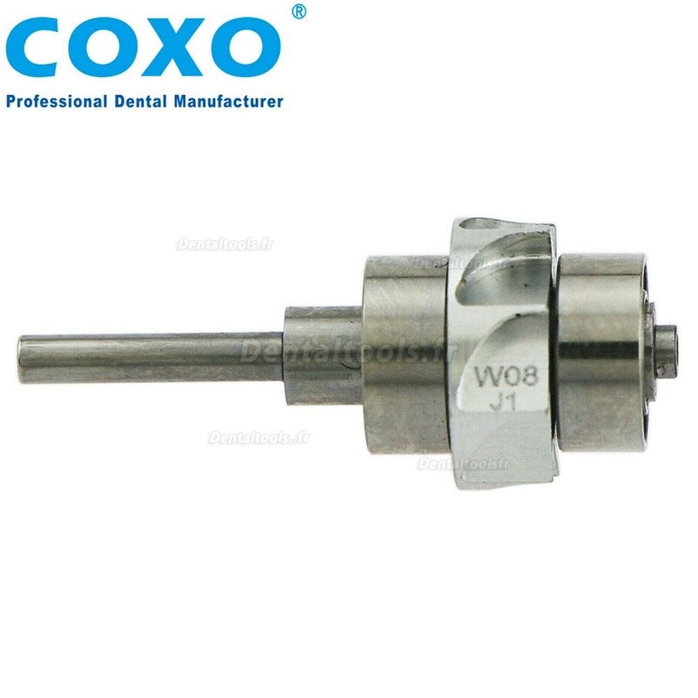  COXO Cartouche de rotor de remplacement dentaire pour pièce à main de turbine W&H