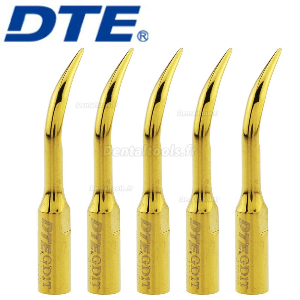  10Pcs Woodpecker DTE Dentaire Insert de détartreur ultrasonique à échelle supragingivale compatible avec DTE Satelec