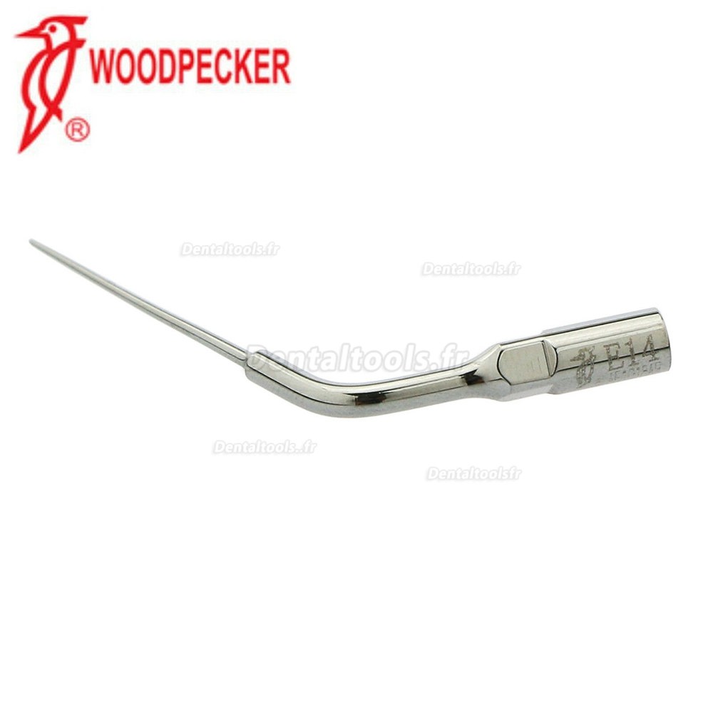 10Pcs Woodpecker Insert de canal radiculaire endodontique de détartreur ultrasonique dentaire EMS compatible