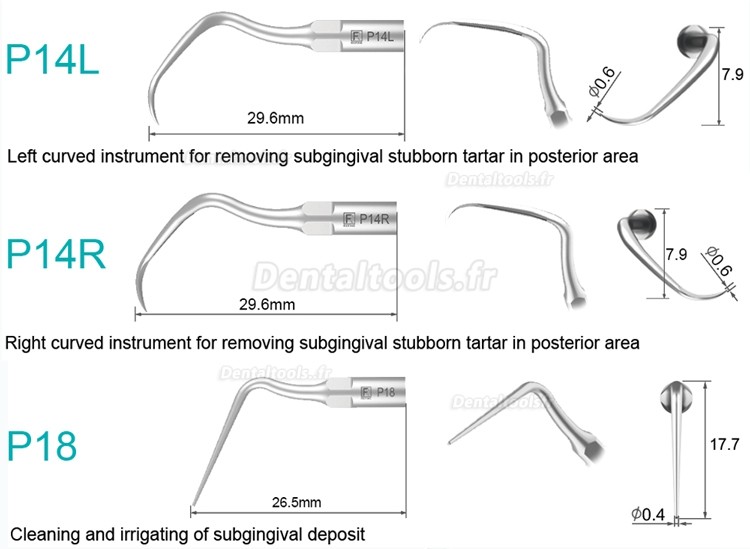 5Pcs Inserts ultrasonique parodontal P2L P2R P2LD P2RD P5 P6 P7 P8 P10 P11 P12 P14L compatible avec piece a main Ultrason Refine EMS Woodpecker