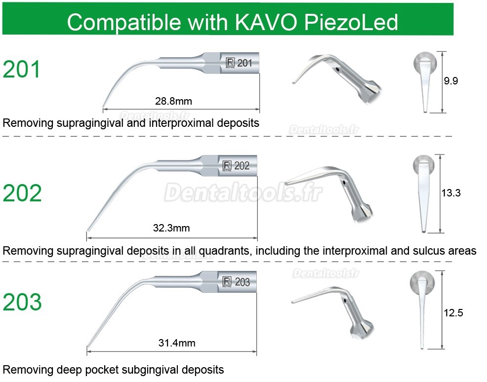 5Pcs Insert ultrasonique 201 202 203 compatible avec détartreur KAVO PiezoLed