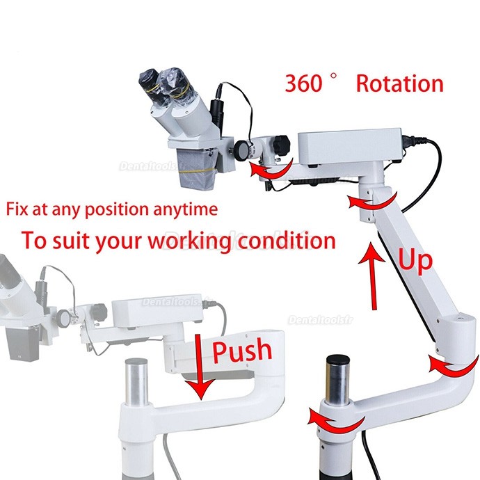 10X/15X/20X Microscope opératoire en endodontie avec lumière LED pour unité de fauteuil dentaire