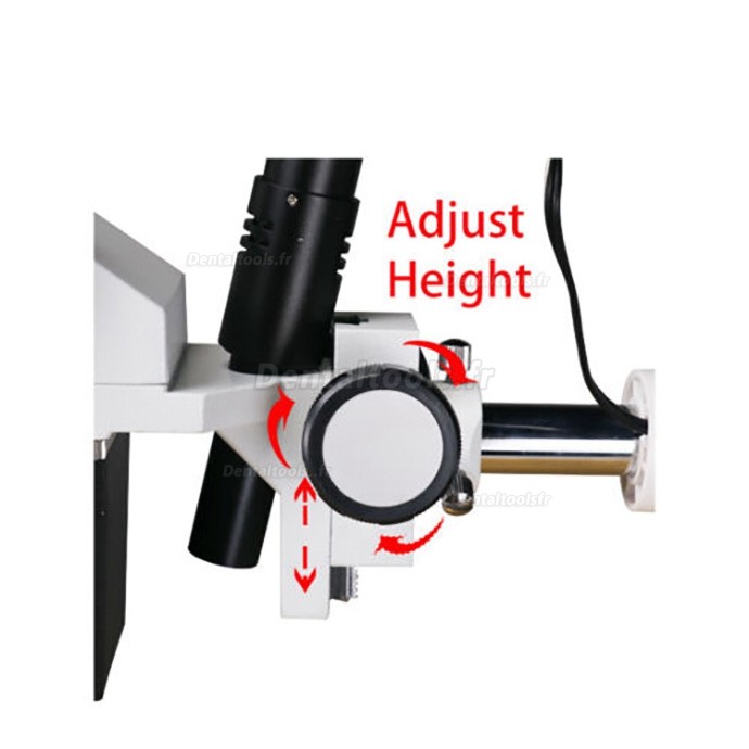 10X/15X/20X Microscope opératoire en endodontie avec lumière LED pour unité de fauteuil dentaire