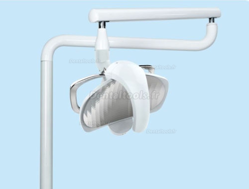 Réflectance led lampe dentaire lampe oral hyperpuissant scialytique Multi-Angle 22mm