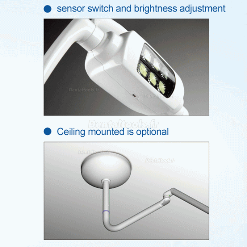 Dentaire 6 LED Lampe oral Lampe d'opération lampe lenticulaire type de plafonnier avec bras