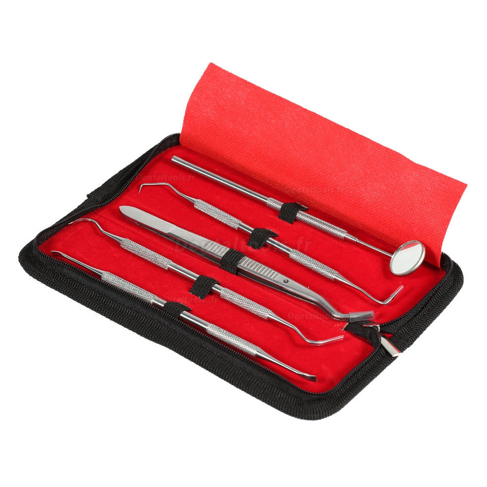 portable hygiène Soins dentaires dents Oral Bouche Miroir Outils à main