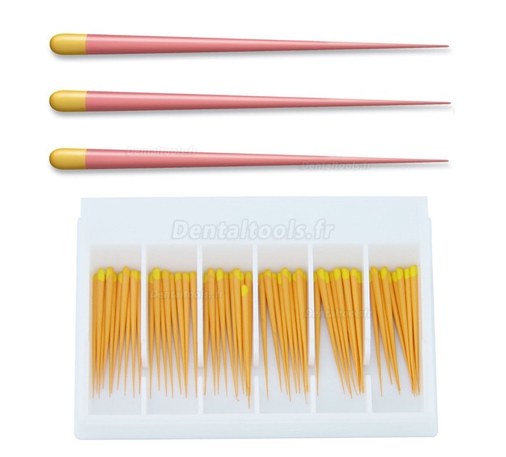 5 Paquet/300 Pcs Pointes F1 de Gutta Percha Points Dentaire pour Dentsply Maillefer Protaper