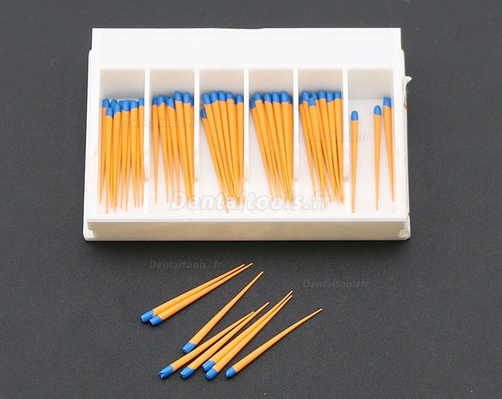 5 Paquet/300 Pcs Pointes F3 de Gutta Percha Points Dentaire pour Dentsply Maillefer Protaper