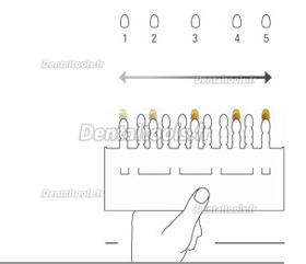 VITA Toothguide 3D-MASTER® Relevé de teinte Toothguide